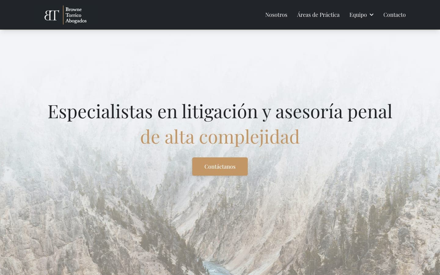 Captura de Browne Torrico Abogados